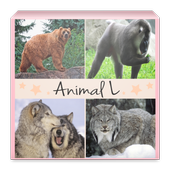 Animals icon