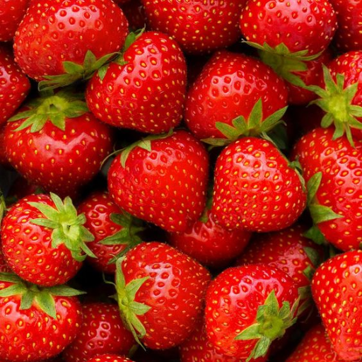 Fruit Wallpaper icon