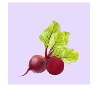 Beetroot Benefits on 9Apps