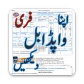 Wapda - Electricity Bill