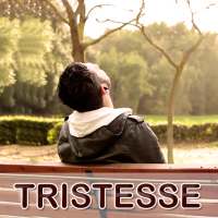 Citations Triste & Proverbes on 9Apps