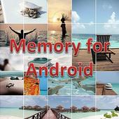 Memory for Android icon