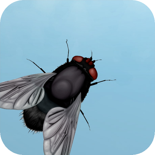 Fly on the screen - a game for the cat icon