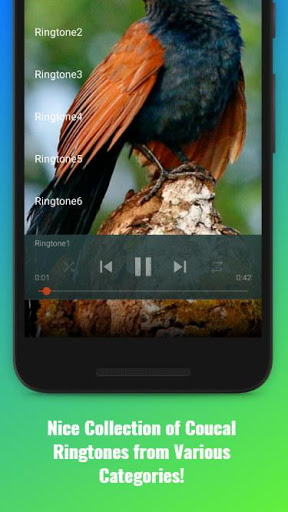 Coucal Sounds screenshot 2