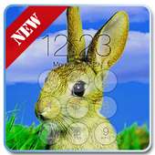 Rabbit Pop Lock Screen on 9Apps