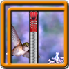 Zipper Lock Screen Hummingbird icon