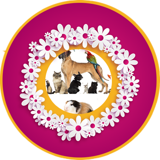 Camera Text Reader icon