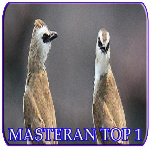 Master Trucukan Super icon
