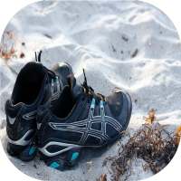 Best Jogging Training