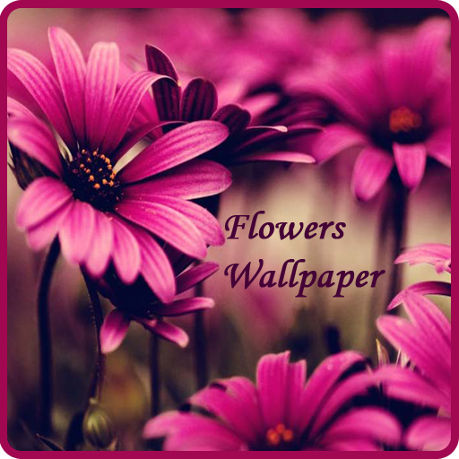 Flowers Wallpaper icon
