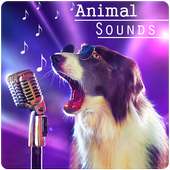 Animal Sounds on 9Apps