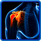 ikon Phone X-ray Scan