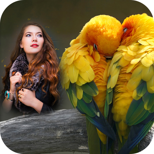 Love Birds Photo Frame icon