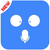 HD Video & Voice Calls Botim Guide