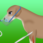 dog surgery game 2 icon