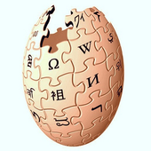 Wikipedia Search icon