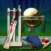 cricket world cup 2015