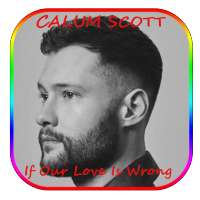 Calum Scott  If Our Love Is Wrong  lyrics on 9Apps