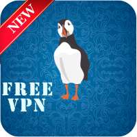 vpn for puffin vpn blocker