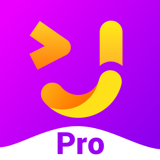 Vinkee Pro icon
