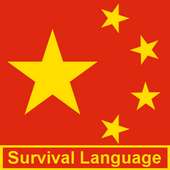 Chinese Survival Language Lite icon