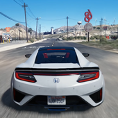 Real Car Simulator icon