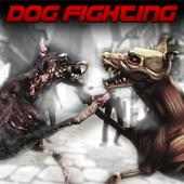 Street Dog Attack Kungfu Dog Fighting