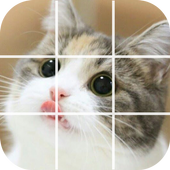 Puzzle Cute Cat icon