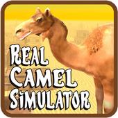Real Camel Simulator icon