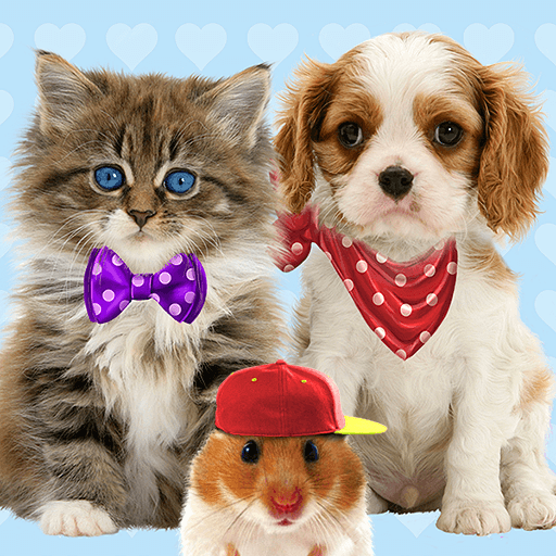 Talking cat. Talking puppy. icon