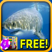 3D Shark Slots - Free icon