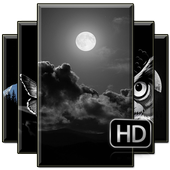 Dark Wallpaper Offline icon