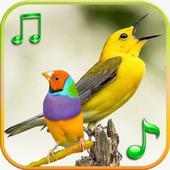 100 bird sounds and ringtones offline on 9Apps