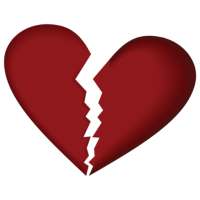 Divorce Planner - FREE