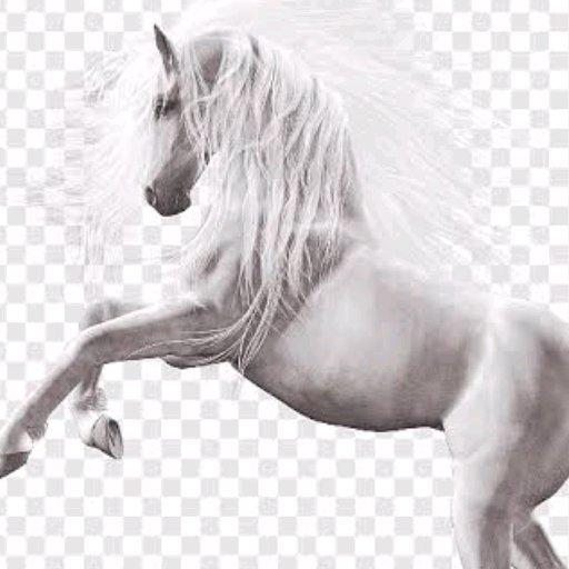 HorsePower Keyboard🐎 icon