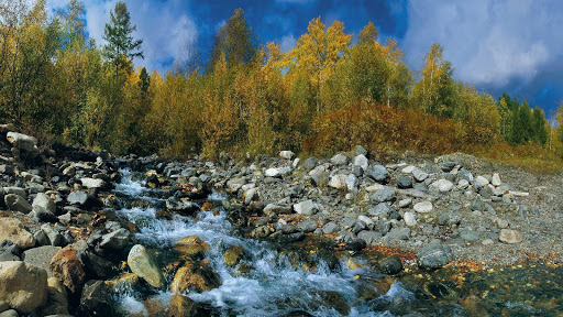 Summer Wallpapers HD & 4k Backgrounds screenshot 13