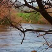 Nature Live Walpaper 9