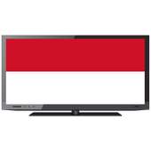 INDONESIA TV