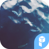 A river runs through it theme icon