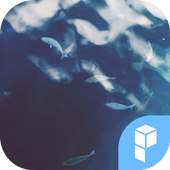 Tема Река проходит через него on 9Apps