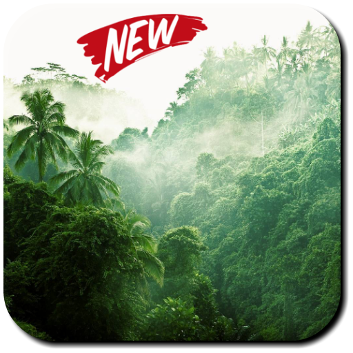 Jungle Wallpaper icon