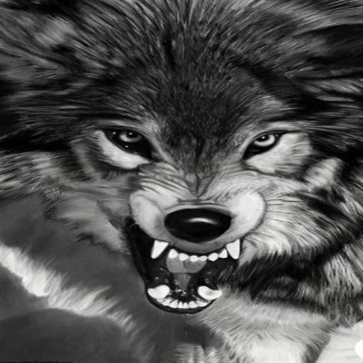 Wolf Fire Wallpaper icon