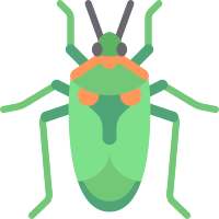 Insect Identification on 9Apps