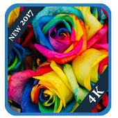 Hipster cool Wallpaper icon