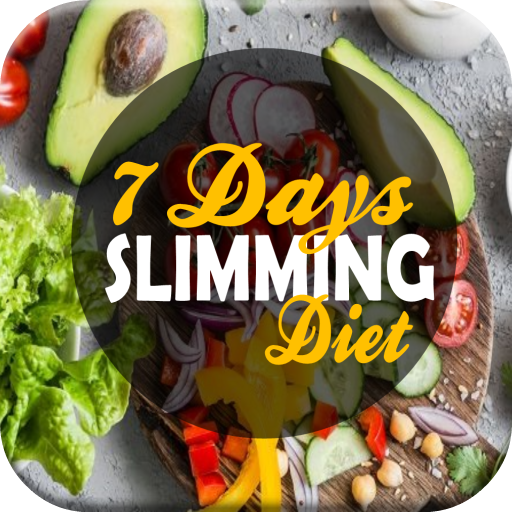 Healthy Balance Diet icon