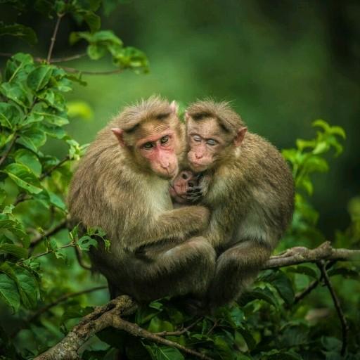 470 hidden words icon