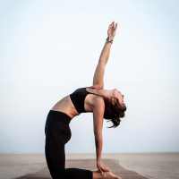 Yoga Workout - Daily Yoga Plan on 9Apps