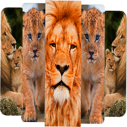 🐯 Lion Wallpapers - Angry HD 3D 4K Pictures 2021❤ icon