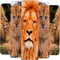 🐯 Lion Wallpapers - Angry HD 3D 4K Pictures 2021❤