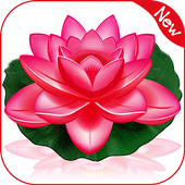 Gallery أيقونة